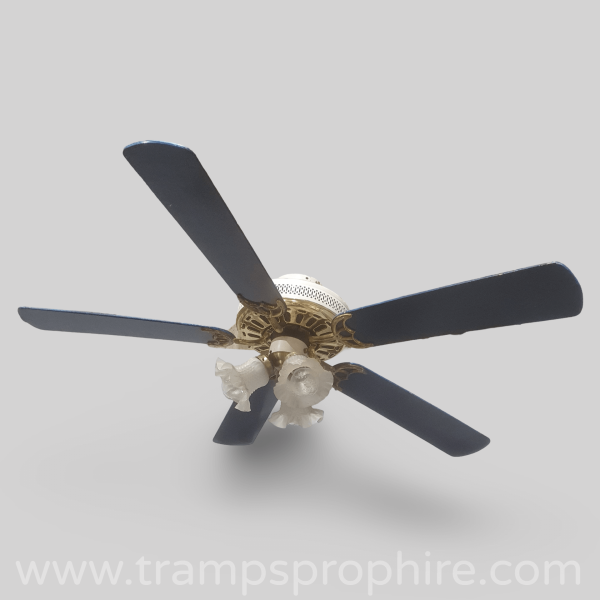 Ceiling Fan Light Blue