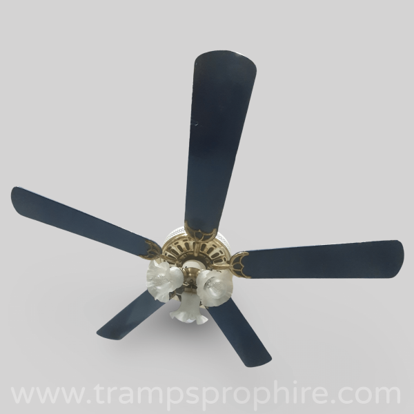 Ceiling Fan Light Blue