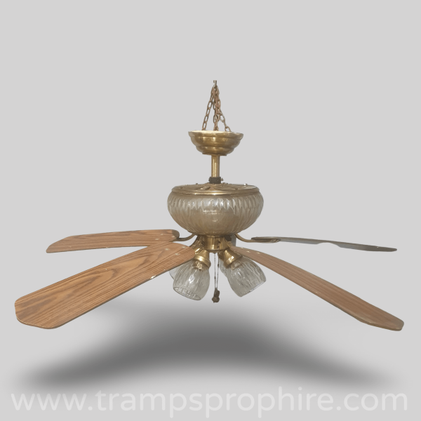 Ceiling Fan Light