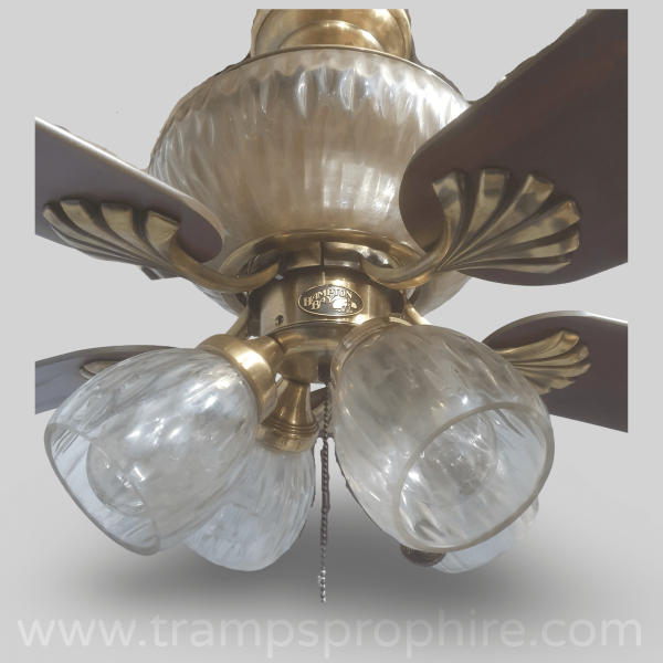 Ceiling Fan Light