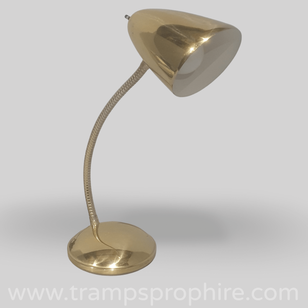 Gooseneck Desk Lamp