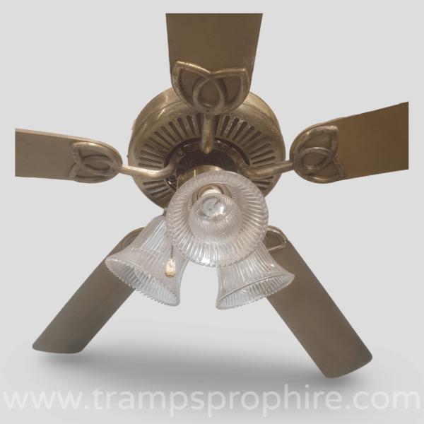 Ceiling Fan Light