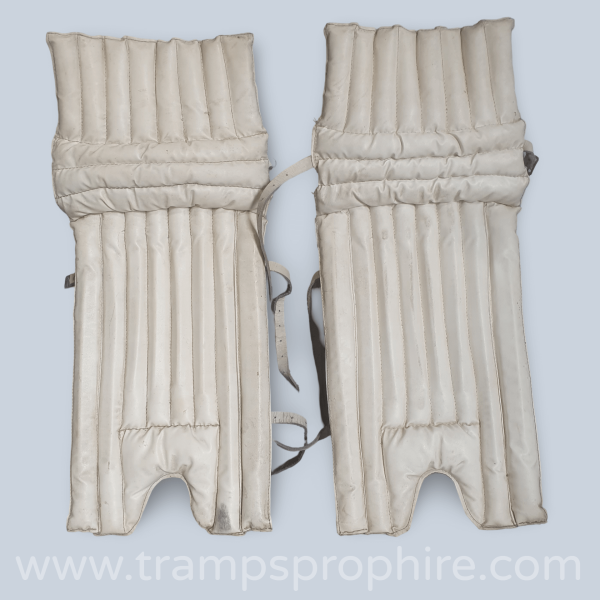 Cricket Pads