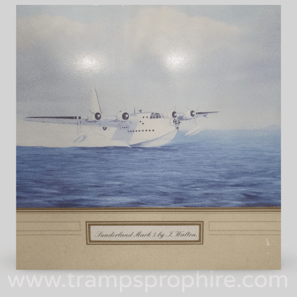 Seaplane Picture