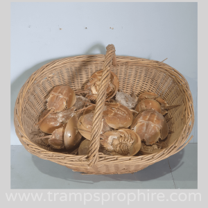 Basket Of Horseshoe Crabs