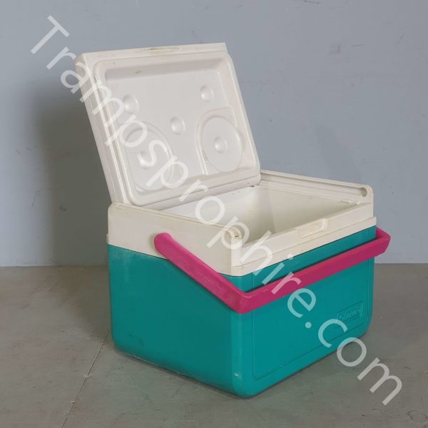 Selection of Small Cool Boxes