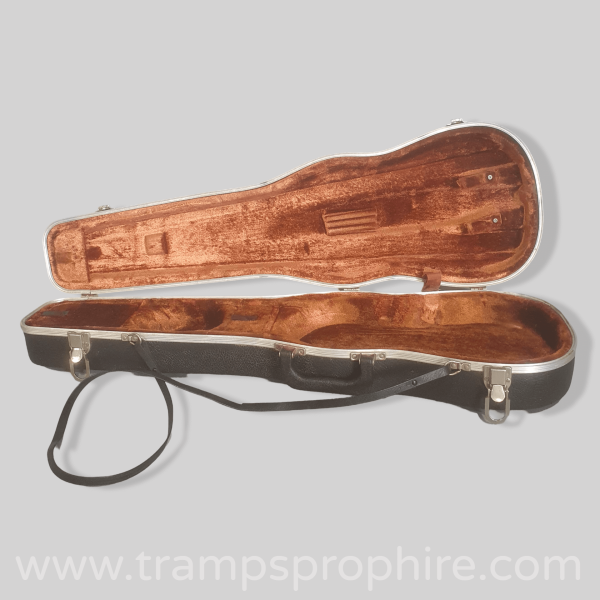 Violin Case