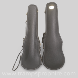 Violin Case