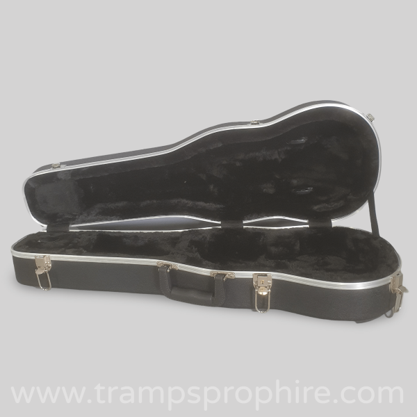 Violin Case