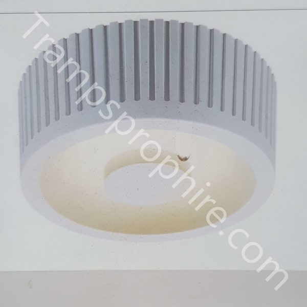 LED Ceiling Light